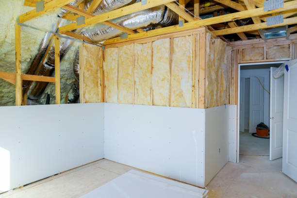 Best Insulation Installation Services in Shenandoah Farms, VA