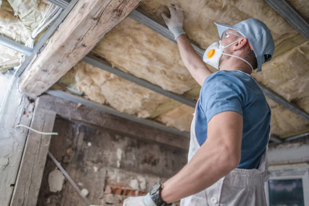 Best Types of Insulation in Shenandoah Farms, VA