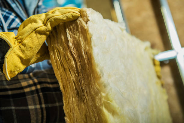 Best Insulation Maintenance and Repair in Shenandoah Farms, VA